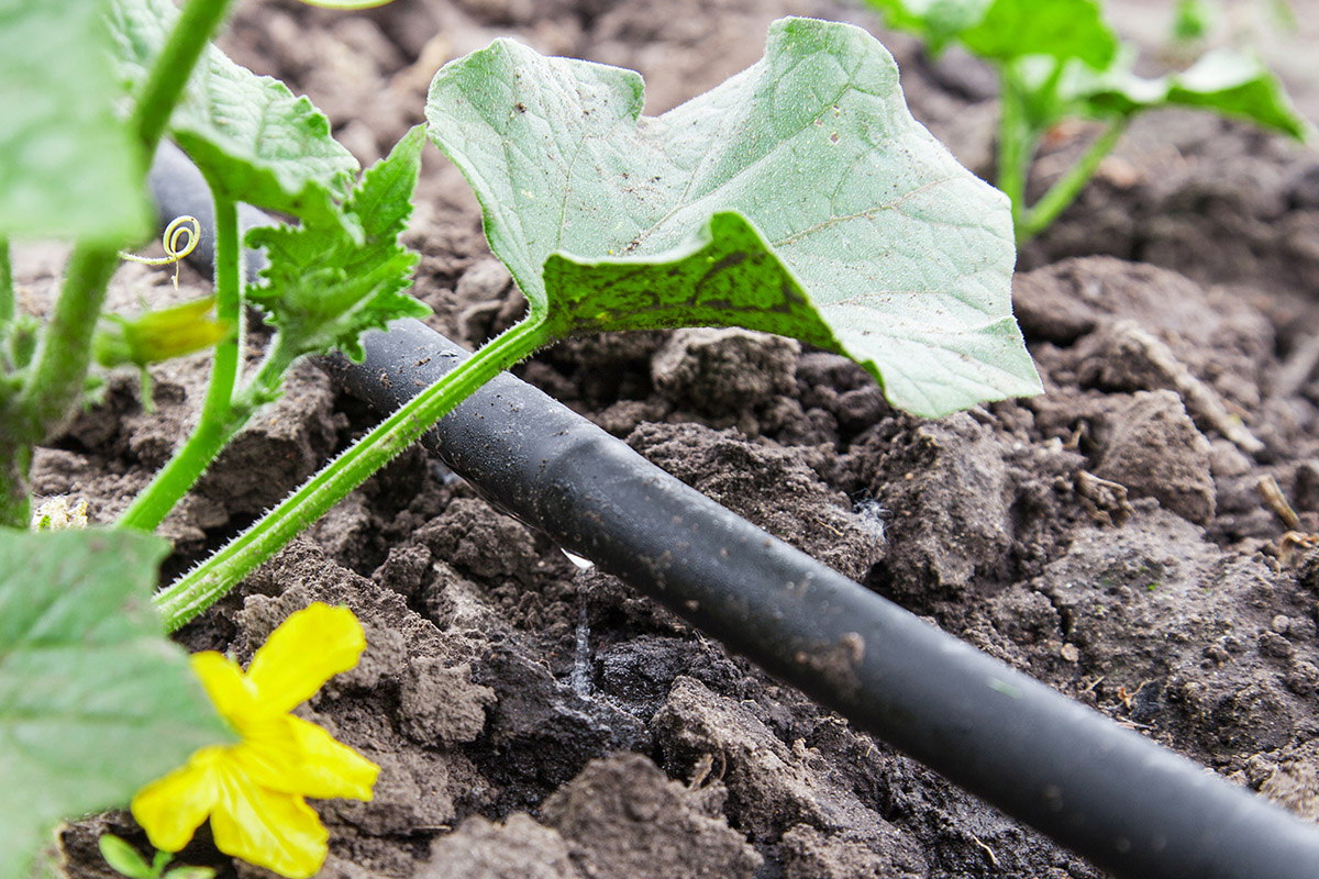 Benefits of Drip Irrigation